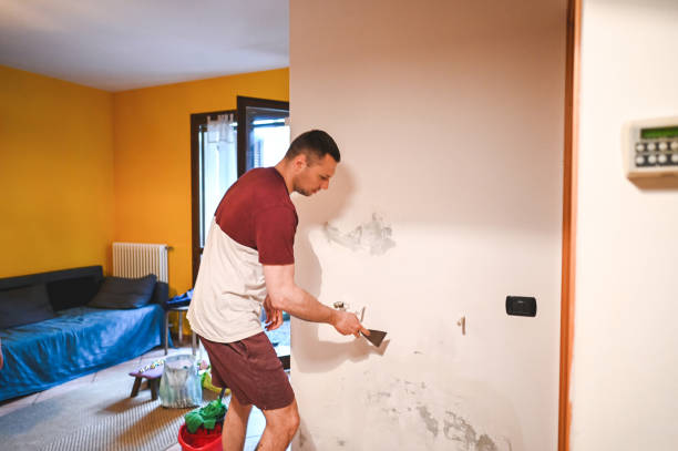 Best Attic Mold Remediation in North Shore, VA